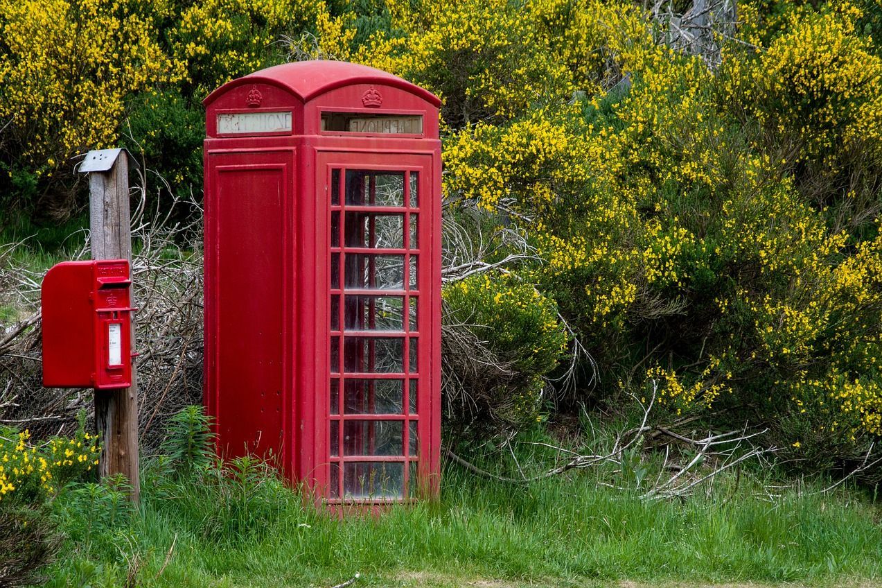 Englische Telefonzelle und Briefkasten vor gelbem Ginster (Foto: Michaela Wenzler auf Pixabay)